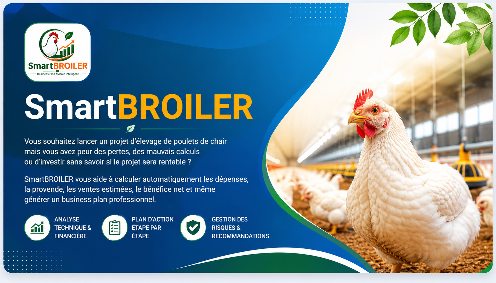 SmartBROILER